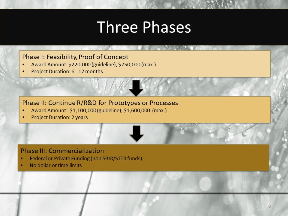 Tutorial 1 Slide 2